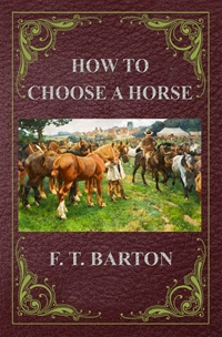 How to Choose a Horse