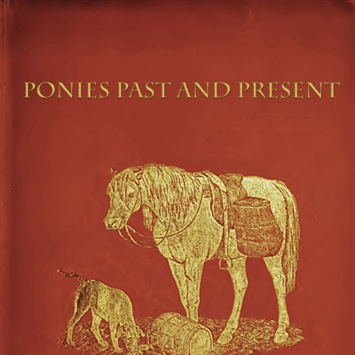 Ponies Past and Present