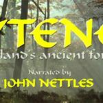 Ytene England's Ancient Forest (1995)