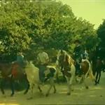 Pony Roundup (1959)