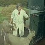 Goat Farm (1963)